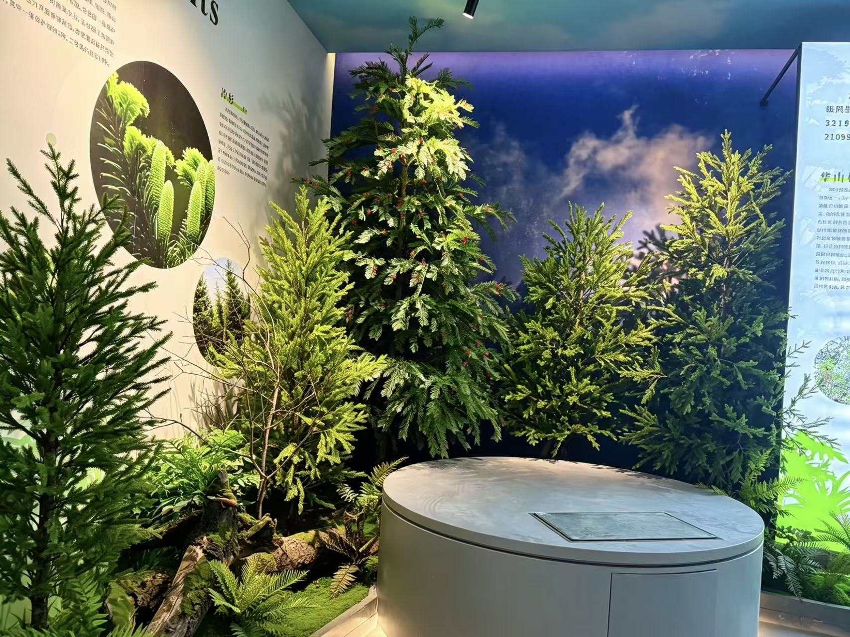 猎塔湖博物馆仿真绿植植被景观